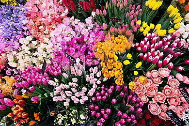 《星球大战：法外狂徒》免费试玩版上线 第二个DLC 5月发售